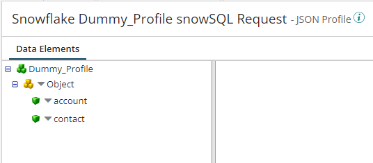 Snowflake Profile Within Boomi