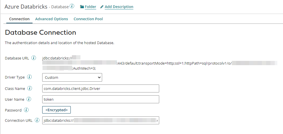 Databricks Database Connection